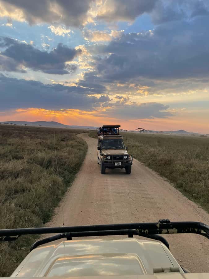 Arusha: 2 Day Tarangire & Ngorongoro Crater Big Five Safari - What $530 includes, and what it does not