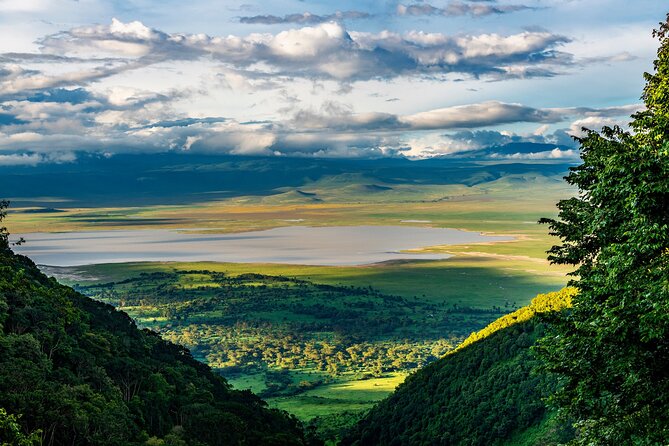 Arusha: 5 days Safari Trip Tarangire, Lake Manyara and Ngorongoro - Day 1: Tarangire’s elephants and baobab country