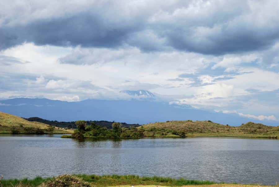 Arusha: Arusha National Park Day Trip w/ Game Drives & Lunch - The wildlife: good variety, modest expectations