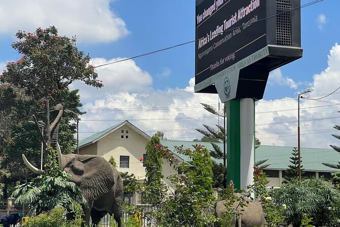 Arusha City Culture and Historical Walking Tour - Tanzanite Experience: A close look at Tanzania’s famous stone