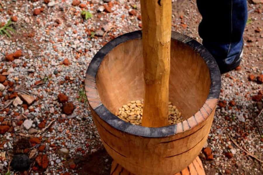 Arusha: Coffee Plantation Tour with Tasting and Hands-On … - Walking among coffee trees