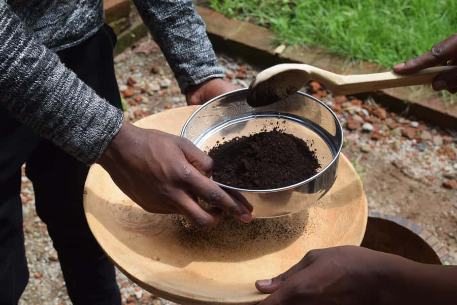 Arusha: Coffee Tour - Why this coffee tour feels different