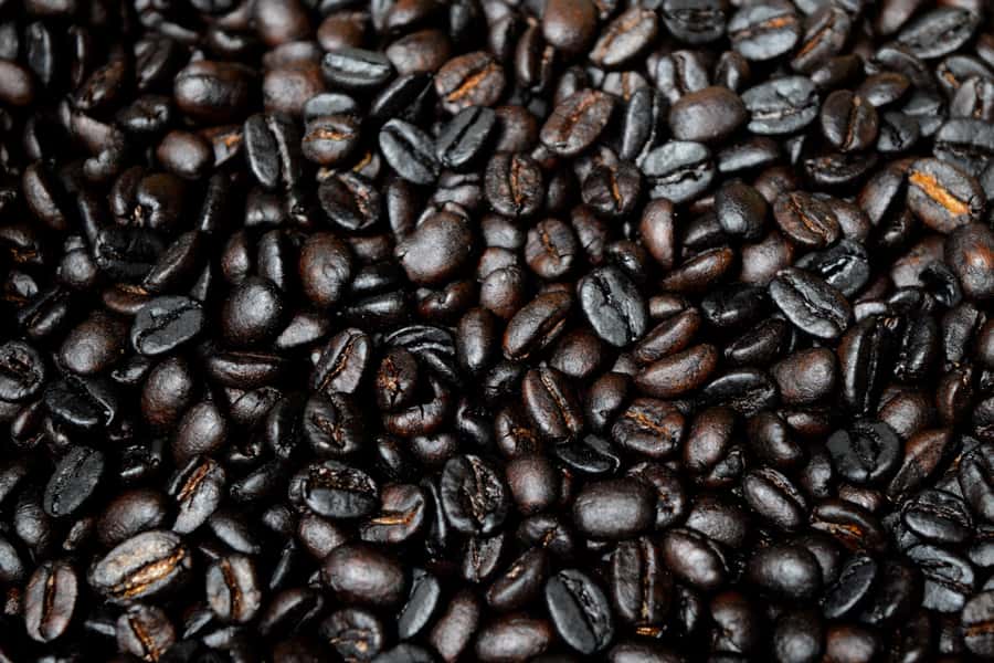 Arusha: Coffee Tour - Lunch and a look at village life