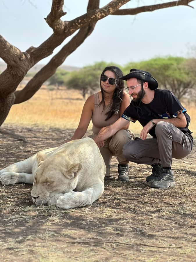 Arusha: Day Trip to Serval Wildlife - Feed Giraffes & Lions - Key points at a glance