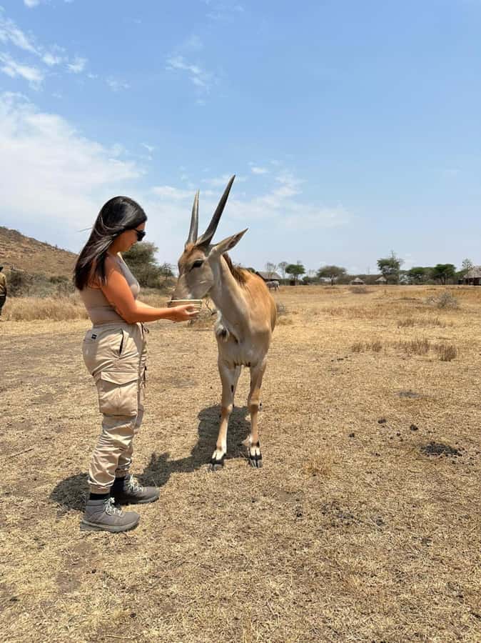 Arusha: Day Trip to Serval Wildlife - Feed Giraffes & Lions - The long road from Arusha or Moshi