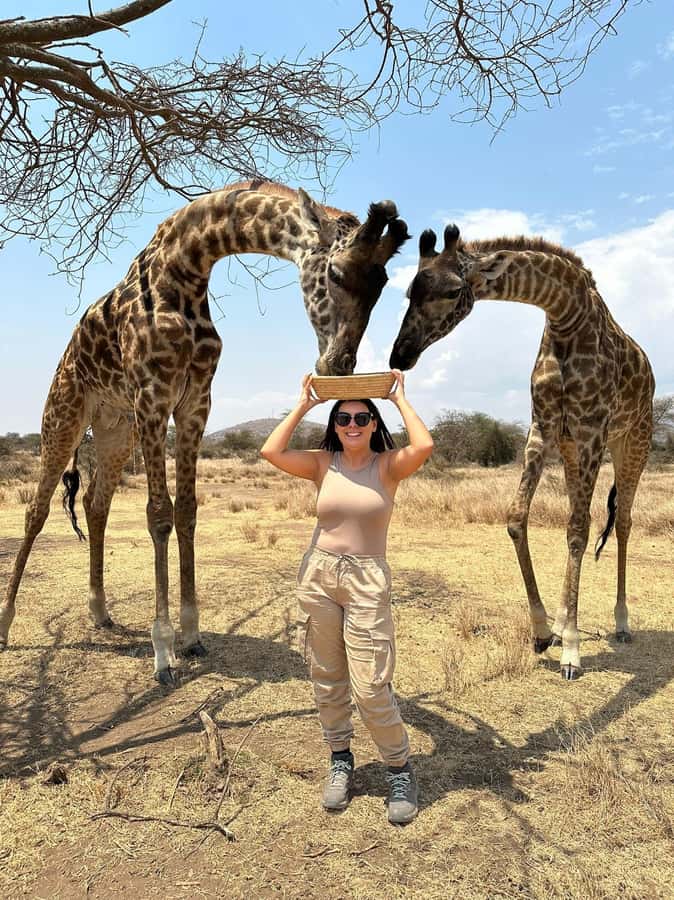 Arusha: Day Trip to Serval Wildlife - Feed Giraffes & Lions - Feeding giraffes and meeting the smaller animals