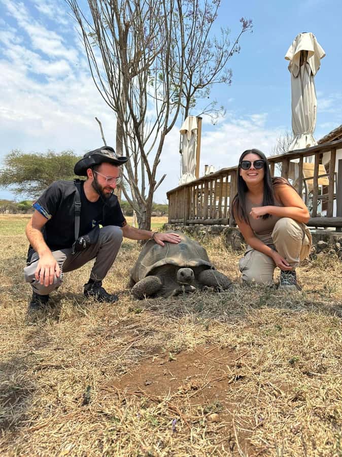 Arusha: Day Trip to Serval Wildlife - Feed Giraffes & Lions - The supervised lion experience