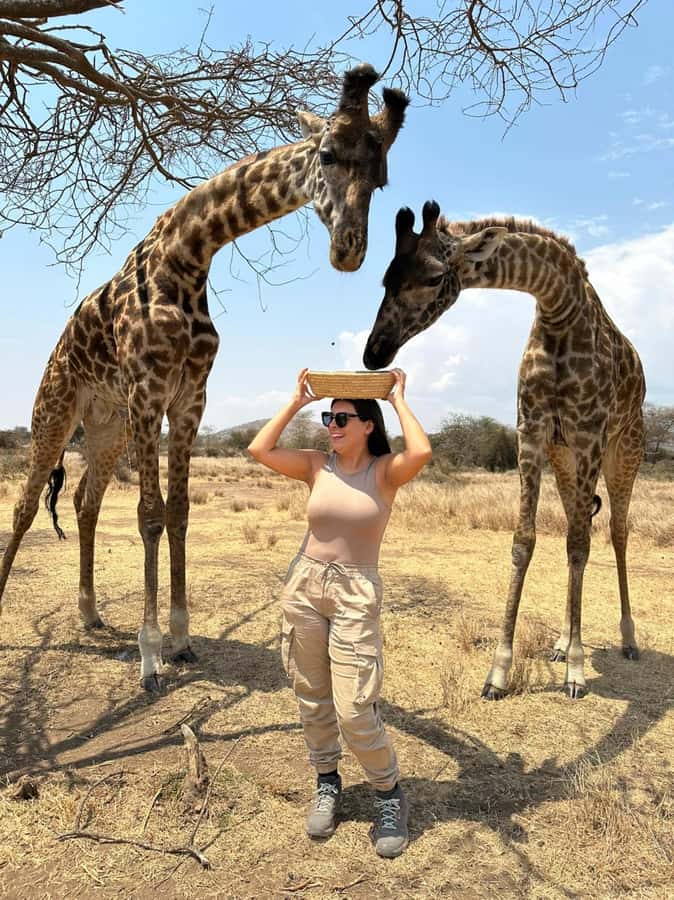 Arusha: Day Trip to Serval Wildlife - Feed Giraffes & Lions - Picnic lunch with a view