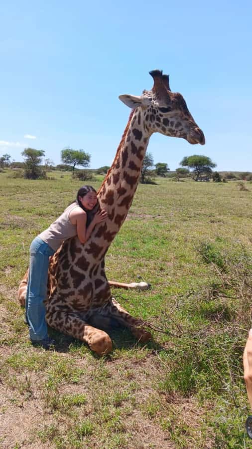 Arusha: Day Trip to Serval Wildlife - Feed Giraffes & Lions - The guides can shape the whole day