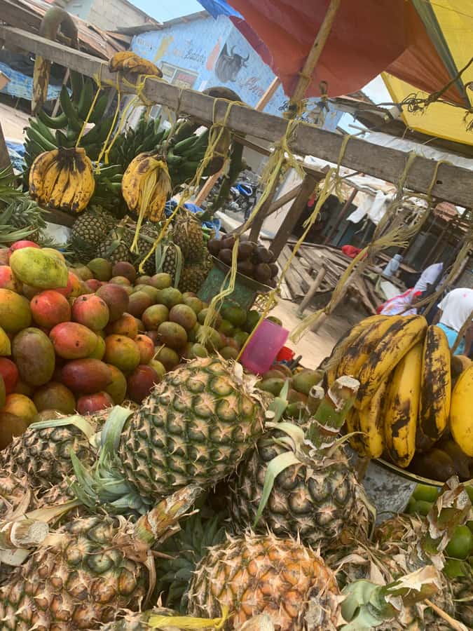 Arusha: Local Tanzanian Cooking Class by Kingstone Asilia - Cooking six vegetarian dishes in the open air