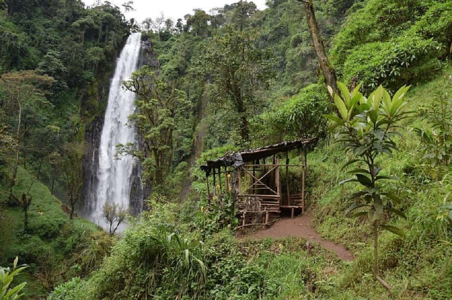 Arusha: Materuni Waterfalls, Coffee, and Hotsprings Tour - Key points to know before you book