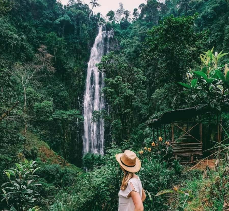 Arusha: Materuni Waterfalls, Coffee, and Hotsprings Tour - Leaving Moshi for Materuni Village
