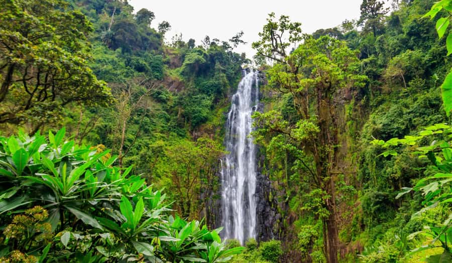 Arusha: Materuni Waterfalls, Hot Springs and/or Coffee Tour - A Tanzanian lunch in Materuni Village