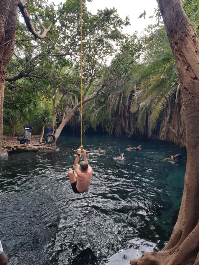 Arusha: Materuni Waterfalls, Hot Springs and/or Coffee Tour - The drive to Chemka Hot Springs