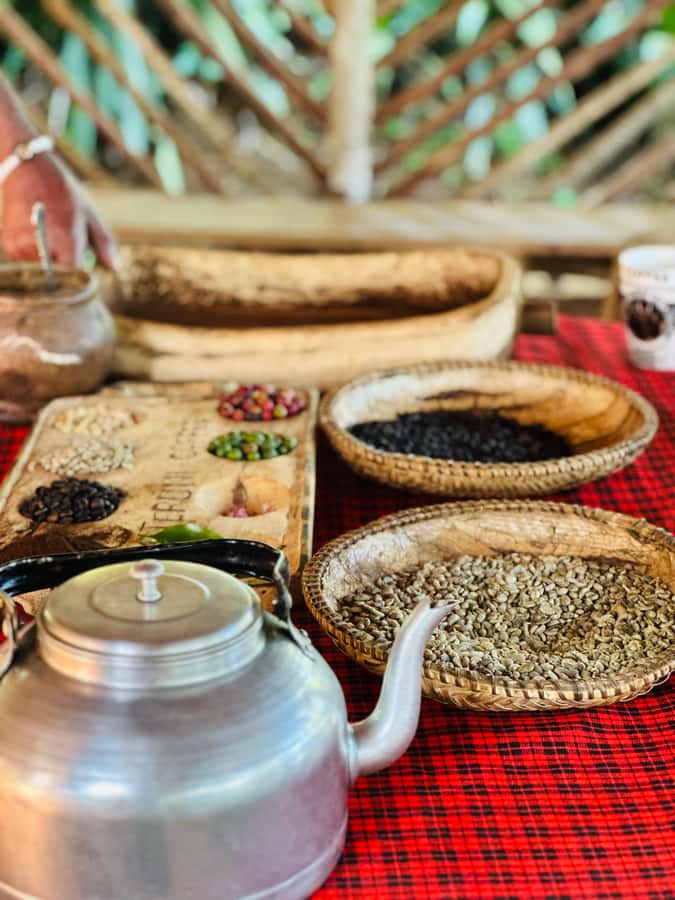 Arusha: Materuni Waterfalls, Hot Springs and/or Coffee Tour - Should you book Materuni Waterfall and Chemka?