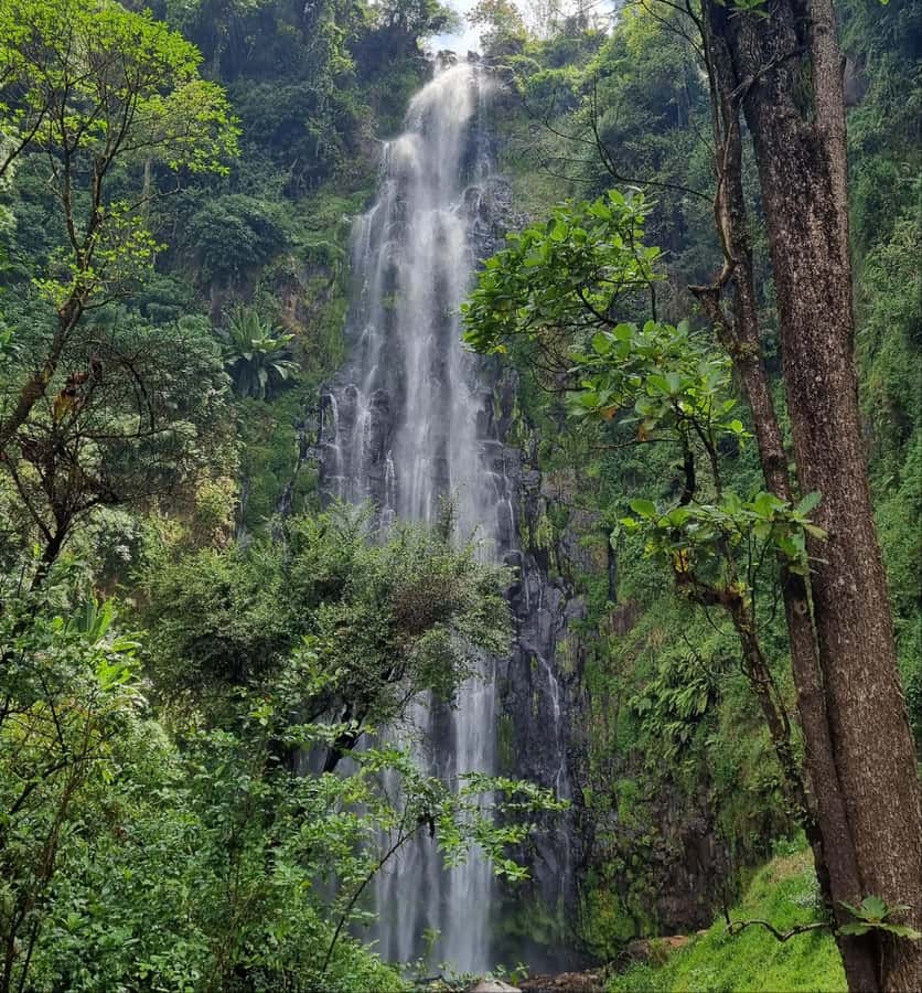 Arusha: Materuni Waterfalls, Hot Springs and/or Coffee Tour - Walking to Materuni’s 85-meter waterfall