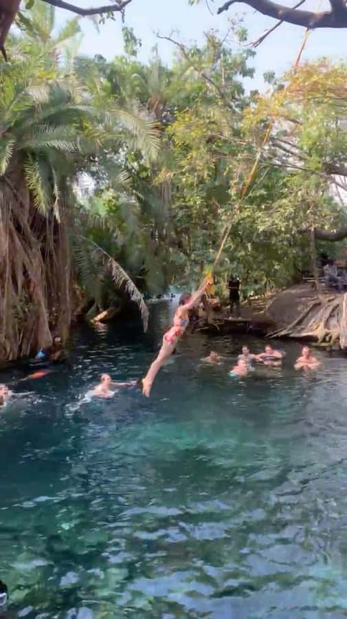 Arusha/Moshi Hot Springs Tour (Chemka) by Kingstone Asilia - Why Kikuletwa makes a good six-hour escape