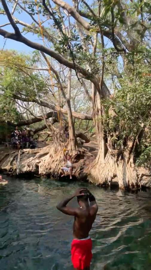 Arusha/Moshi Hot Springs Tour (Chemka) by Kingstone Asilia - Timing the return before dark