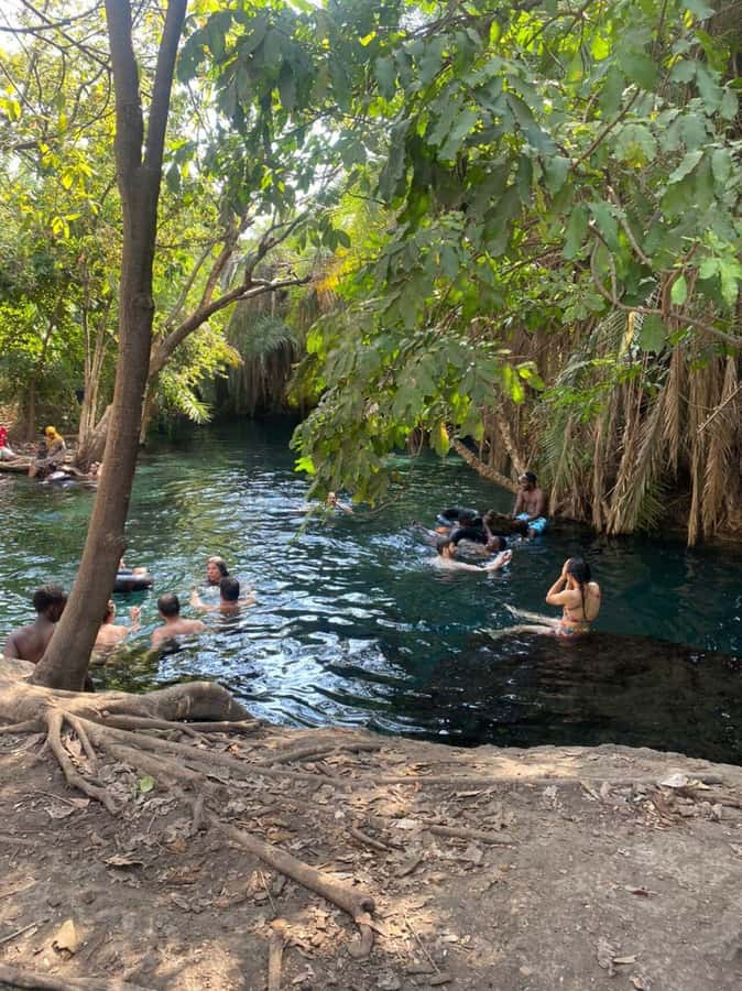 Arusha/Moshi Hot Springs Tour (Chemka) by Kingstone Asilia - Practical preparation for Chemka