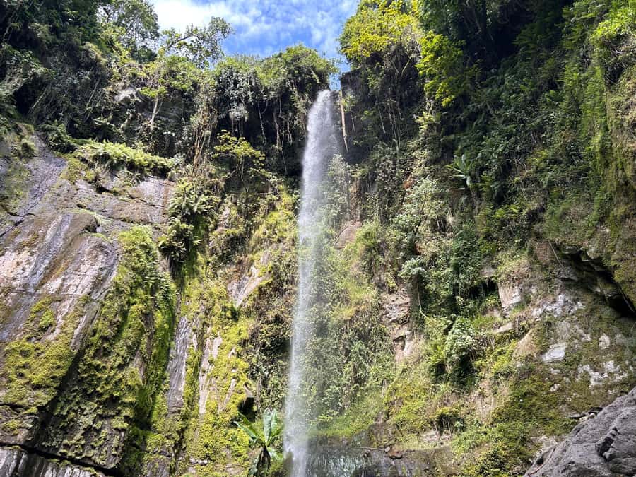 Arusha: Napuru Waterfalls Guided Hike - Key points to know before you go