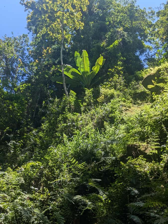 Arusha: Napuru Waterfalls Guided Hike - Who will enjoy this hike most
