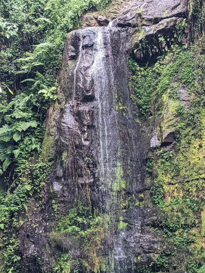 Arusha: Napuru Waterfalls Guided Hike - Village paths with cattle, crops, and monkeys