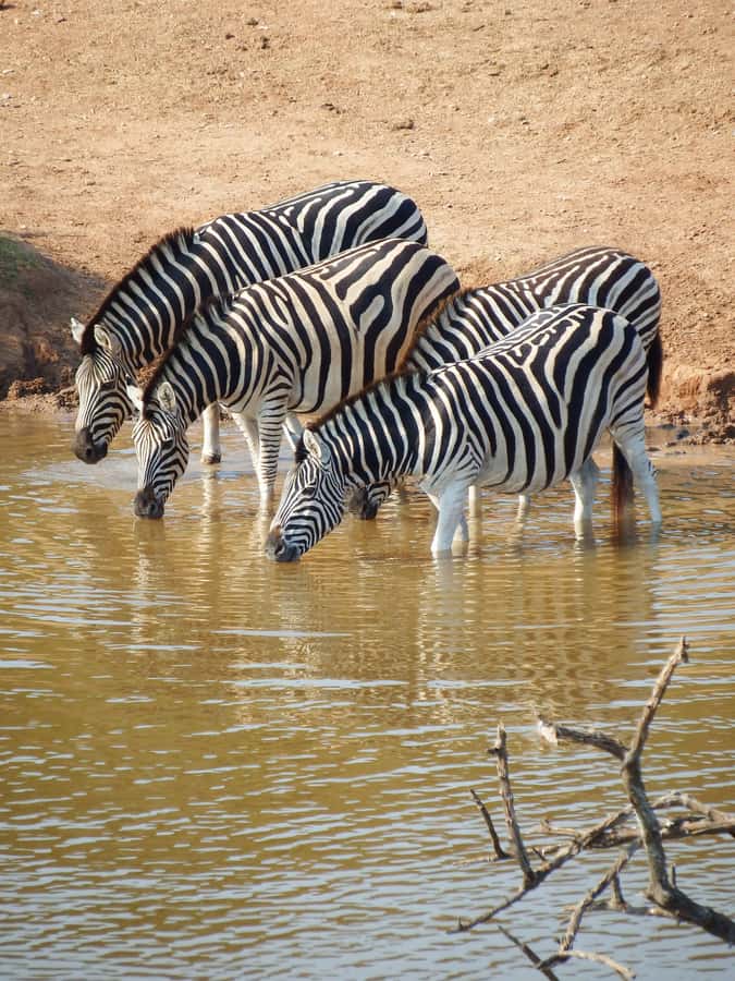 Arusha National Park Day Tour with All-Inclusive - Ngurudoto Crater and the first wildlife views
