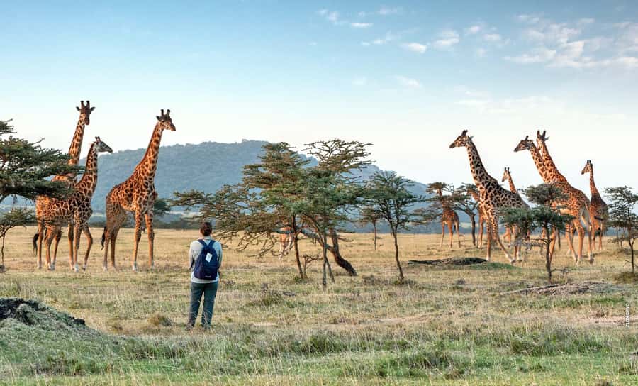 Arusha National Park Day Tour with All-Inclusive - Morning pickup from Arusha or Moshi