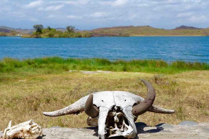 Arusha National Park Day Trip - Giraffes, primates, and herbivores