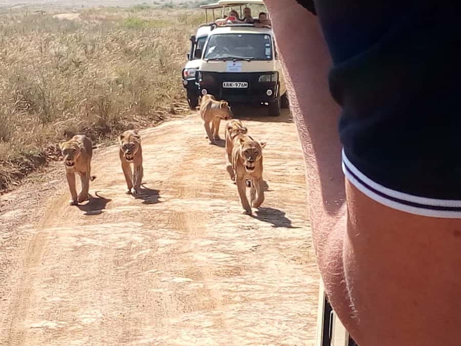 Arusha National Park: Private Jeep Tour - The hotel pickup keeps the morning simple