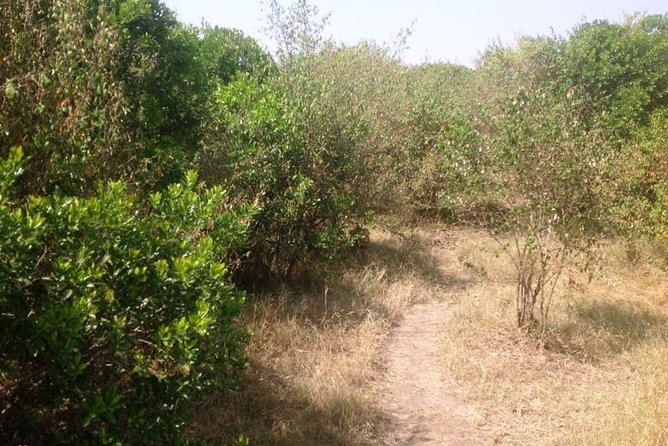 Arusha National Park Safari by Jeep - What the five-hour schedule feels like