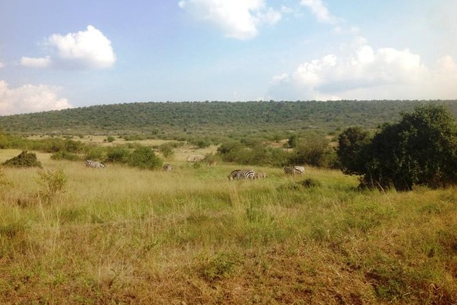 Arusha National Park Safari by Jeep - Who should book this safari?