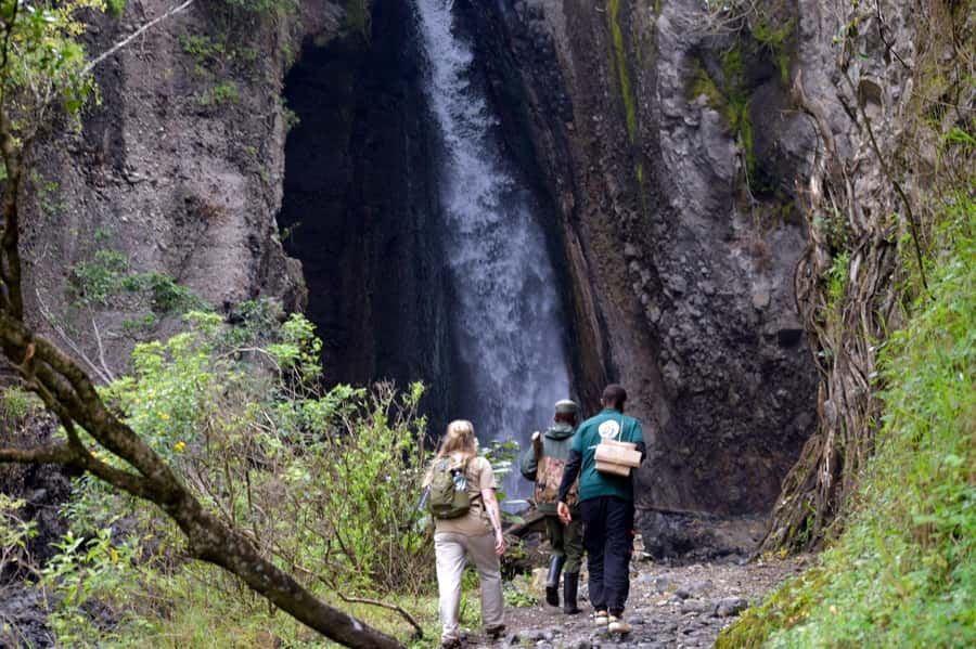Arusha National Park: Walking Safari and Game Drive - The morning game drive across forest and marsh