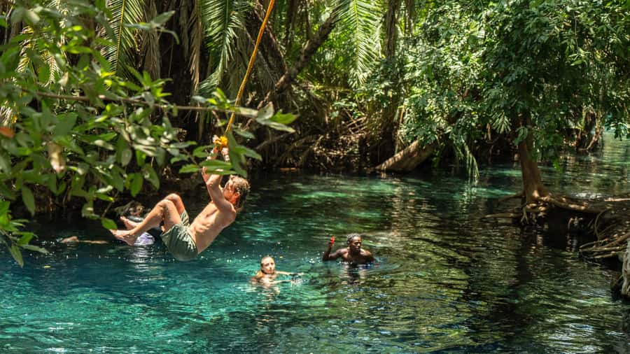 Arusha or Moshi : Hot Spring, Waterfall & Coffee Farm Tour - Five reasons this Kilimanjaro day trip earns attention