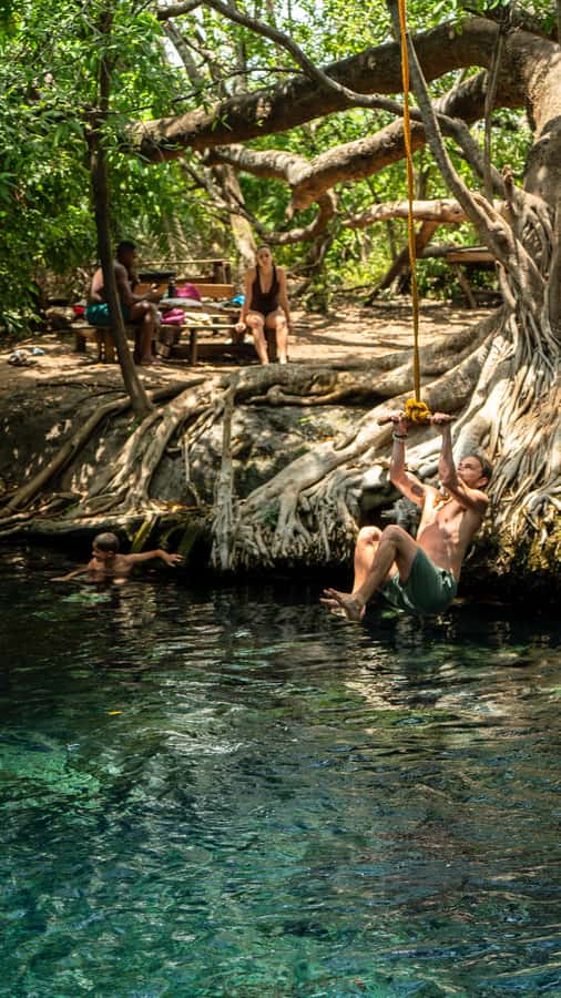 Arusha or Moshi : Hot Spring, Waterfall & Coffee Farm Tour - Guides, vehicles, and the human side of the tour