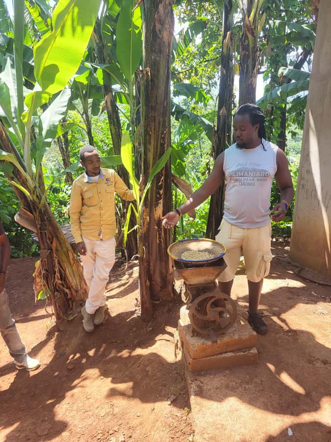 Arusha or Moshi : Hot Spring, Waterfall & Coffee Farm Tour - Who should book this day out?