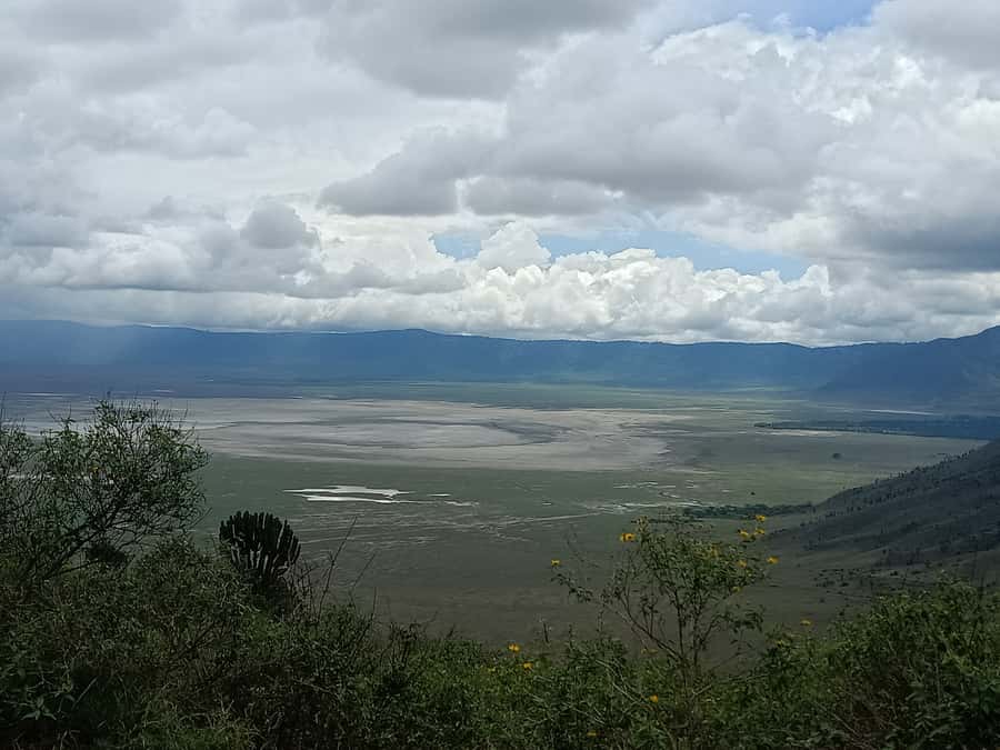 Arusha: Serengeti and Ngorongoro Multi-Day Camping Safari - Camping comfort, food, and the human side