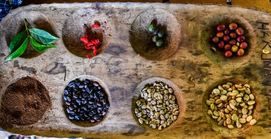 Arusha: Traditional Coffee Preparation(coffee tour) - Walking Through a Smallholder Arabica Farm