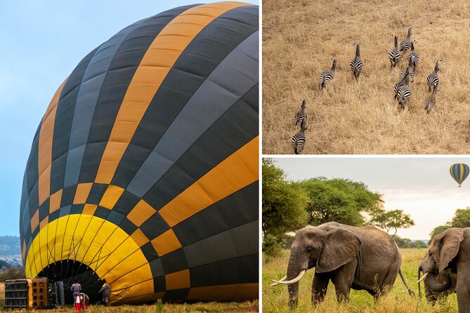 Balloon Safari & Bush Breakfast in Tarangire - Miracle Experience - Key points to know before you book