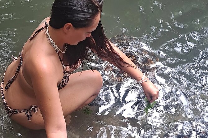Baraka Aquarium and Dolphin Sightseeing with Sunset Cruise - The day’s key points