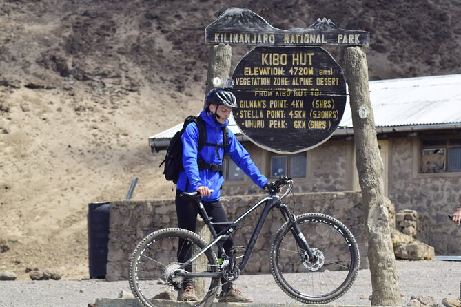 Best 5 Days Kilimanjaro Bike Trek Tour via Marangu Kilema Route - Day five: from alpine desert back to the rainforest