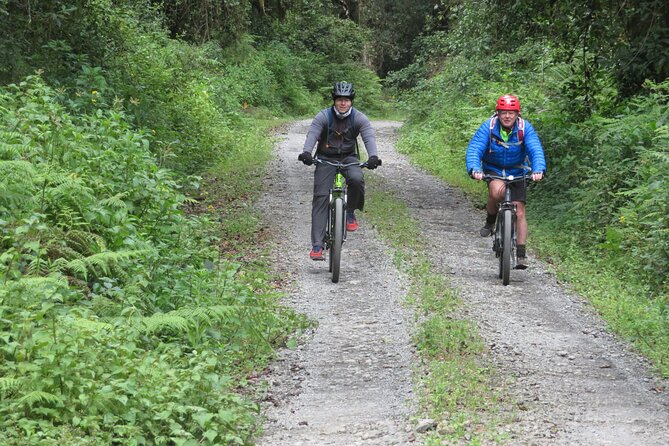 Best 5 Days Kilimanjaro Bike Trek Tour via Marangu Kilema Route - Food, transport, and support on the mountain