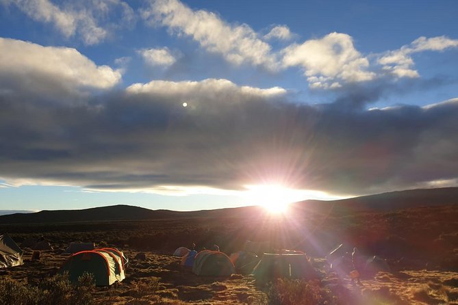 Best Kilimanjaro Adventure 7 days Machame route Trekking - Day 3: Lava Tower, altitude practice, and Barranco