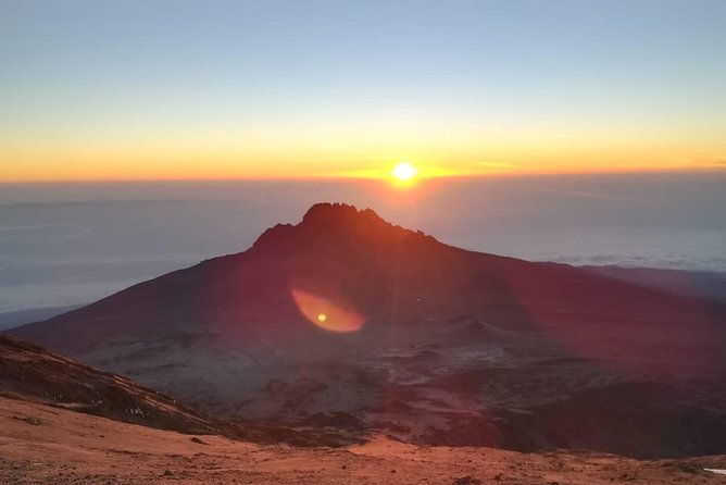 Best Kilimanjaro Adventure 7 days Machame route Trekking - Day 7: Forest descent and the return to Moshi or Arusha