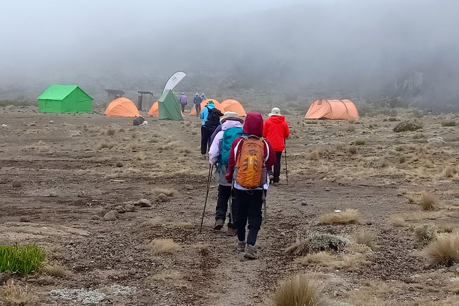 Best Kilimanjaro Adventure 7 days Machame route Trekking - Day 2: The rocky ridge to Shira Camp
