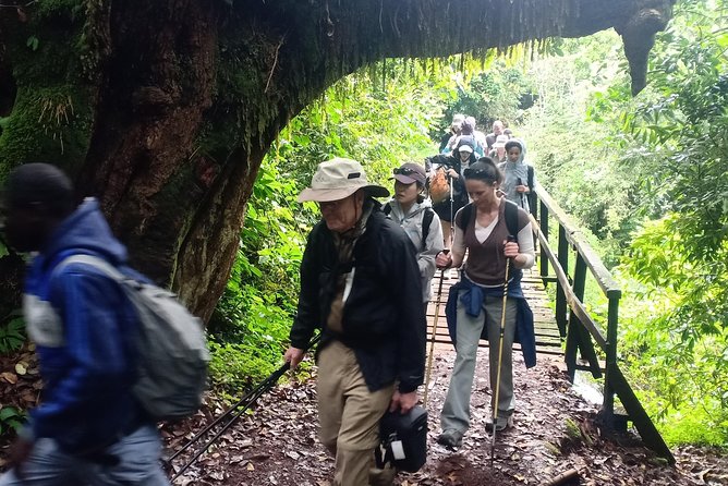 Best Kilimanjaro Adventures 6 Days Marangu Route Experience - Key Details Before You Choose This Climb