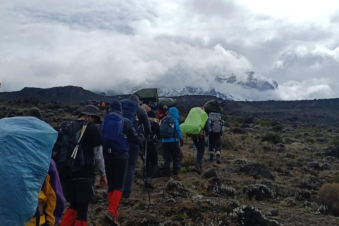 Best Kilimanjaro Adventures 6 Days Marangu Route Experience - Day One: Marangu Gate to Mandara Hut