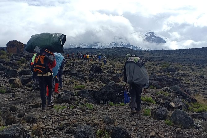 Best Kilimanjaro Adventures 6 Days Marangu Route Experience - Day Three: The Acclimatization Walk Toward Mawenzi Hut