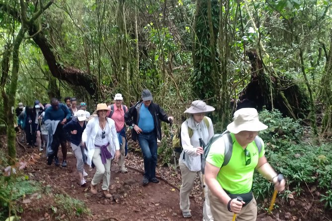 Best Kilimanjaro Adventures 6 Days Marangu Route Experience - Day Five: The Midnight Climb to Uhuru Peak