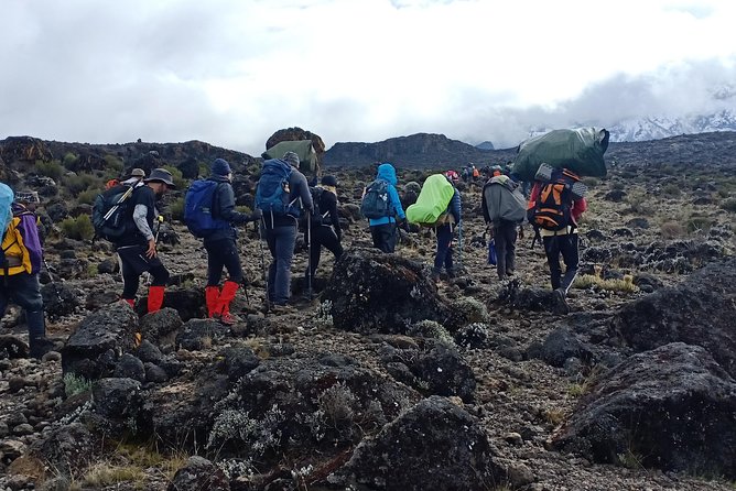 Best Kilimanjaro Adventures 6 Days Marangu Route Experience - Day Six: A Cloud Forest Descent to Marangu Gate